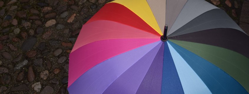 Umbrella Insurance Traverse City, Michigan